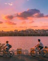 2017伦理热门伦理在线-2017年伦理热潮，在线世界的道德导航