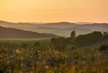麻豆av在线久日-麻豆AV在线—探究成人娱乐内容使用的社会文化背景与反思