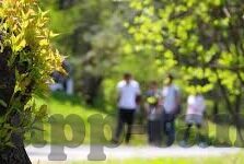 糖心app色下载安装-畅享多元化娱乐，探寻兴趣世界的奇妙之旅