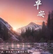 糖心vlog免费官网-真实体验，糖心Vlog免费官网的多样精彩