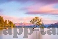 糖心直播app最新版下载-App热议，糖心直播，沉浸式娱乐的新体验