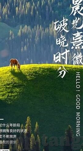 vlogcom糖心官网版介绍-全方位探索Vlogcom糖心官网版，原创内容与社交互动的完美结合